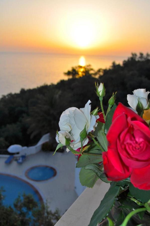 Holiday Apartments Maria With Pool And Panorama View - Agios Gordios Beach Exterior foto